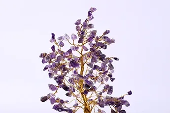 Certifed Astroyogi Harmony Tree Certifed Astroyogi Harmony Tree