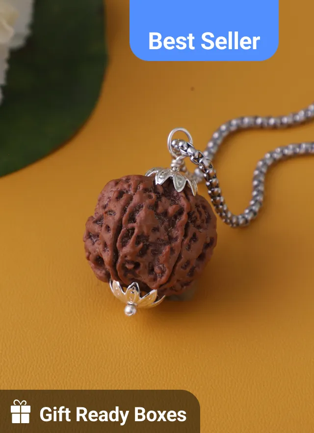 7 Mukhi Rudraksha Pendant | Confidence mall