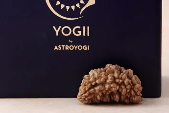 1 Mukhi Rudraksha Single Bead