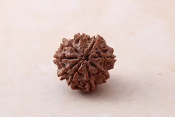 Online 9 Mukhi Rudraksha Single Bead