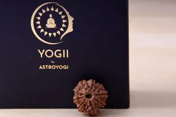 9 Mukhi Rudraksha Single Bead