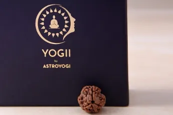 3 Mukhi Rudraksha Single Bead