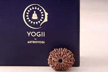 11 Mukhi Rudraksha Single Bead 11 Mukhi Rudraksha Single Bead