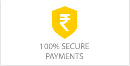 100% secure payments