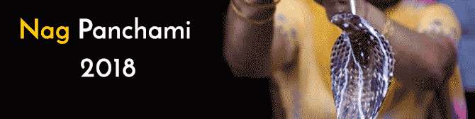 Nag Panchami Pooja Methodologies by Aacharya Aaditya