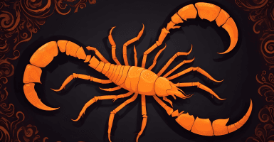Scorpio Tarot 2024 null