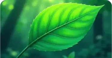 The Color Green