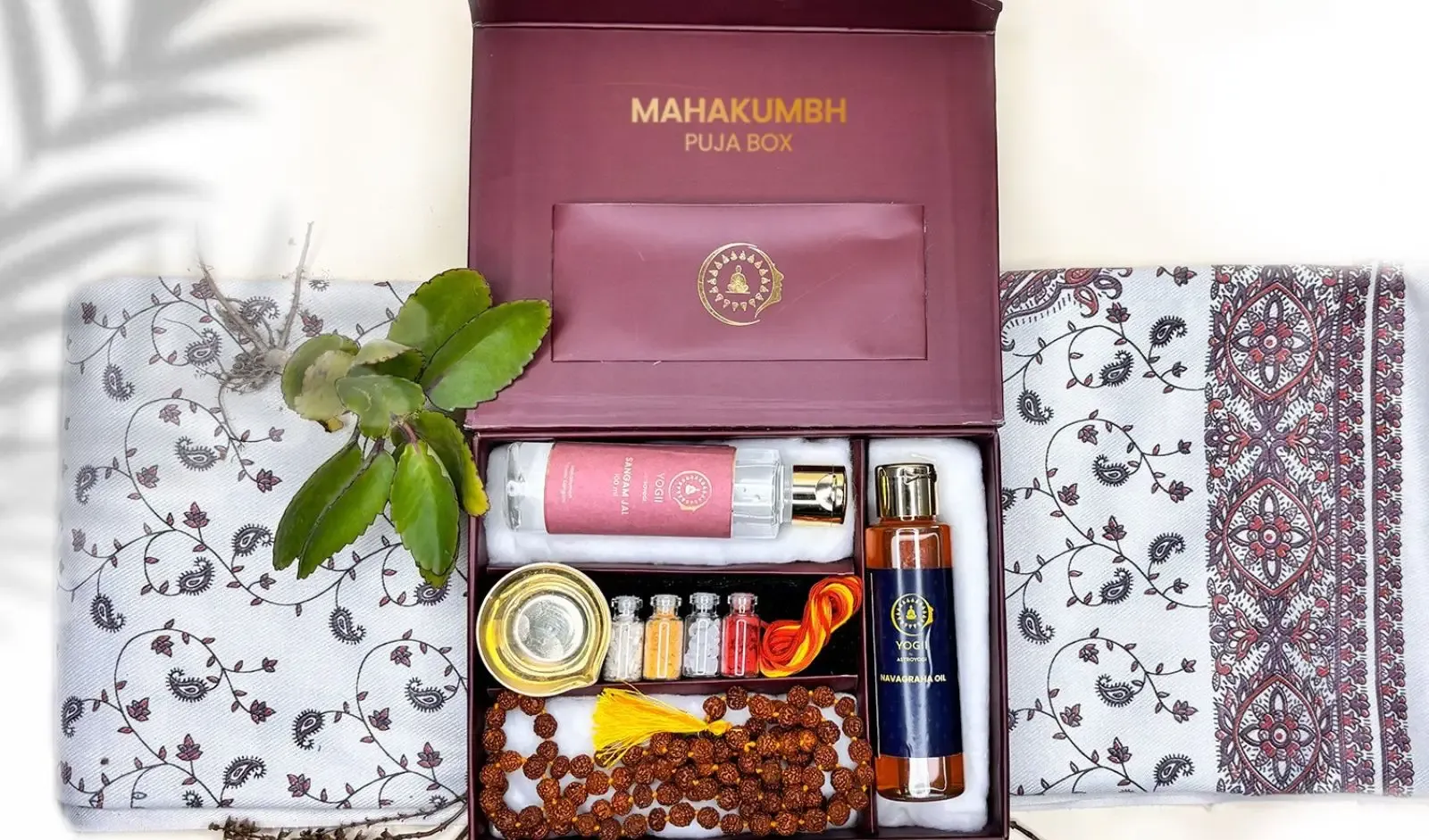 Astroyogi Unveils Maha Kumbh 2025 Initiatives: Live Streaming, Sacred Rituals & More