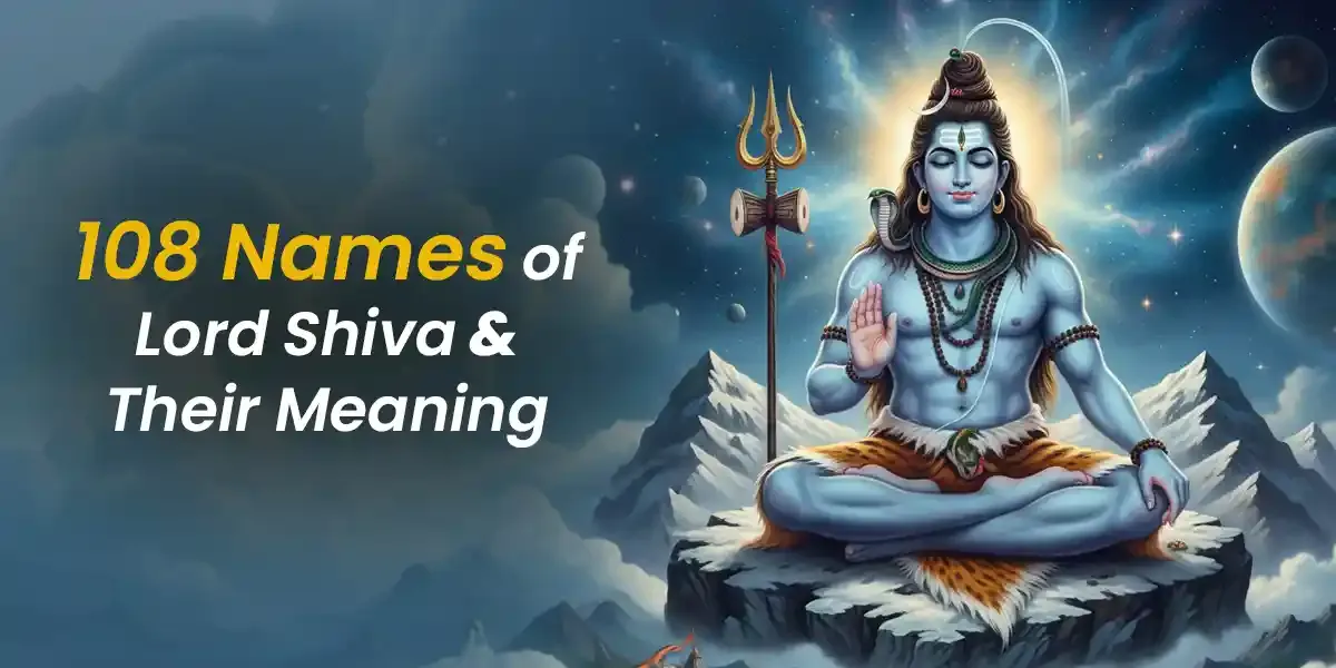 Photo of a Shiba Inu