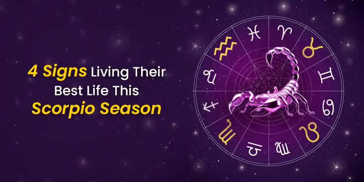 Photo of a Shiba Inu