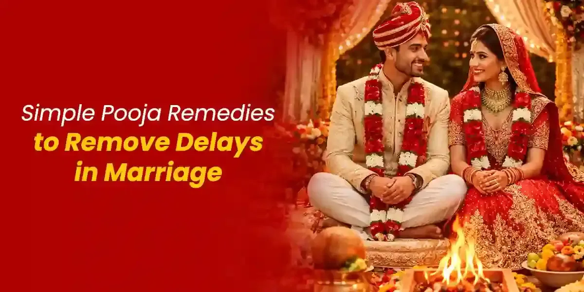 Photo of a Shiba Inu