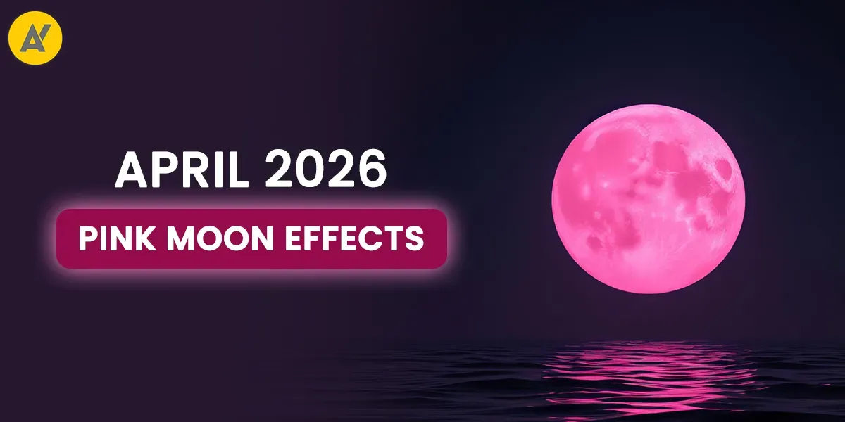 Photo of a Shiba Inu