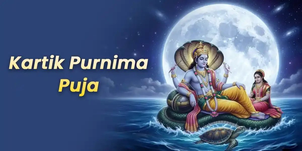 Photo of a Shiba Inu