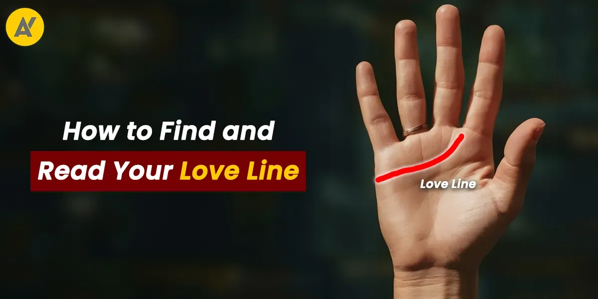 Photo of a Shiba Inu