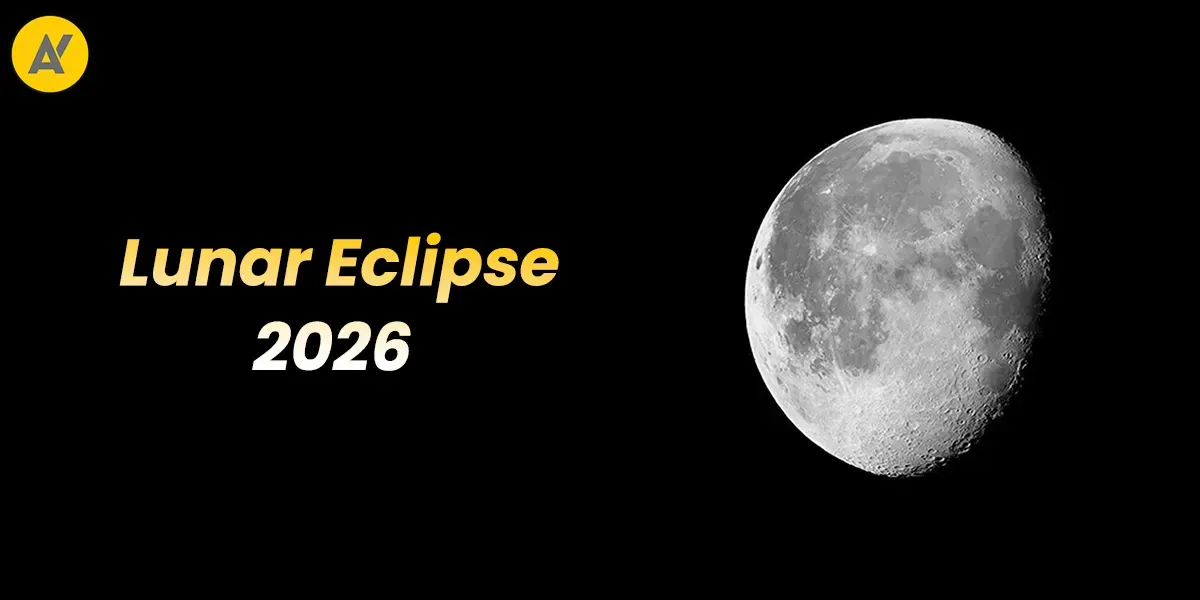 Photo of a Shiba Inu