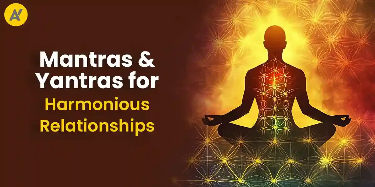 Photo of a Shiba Inu