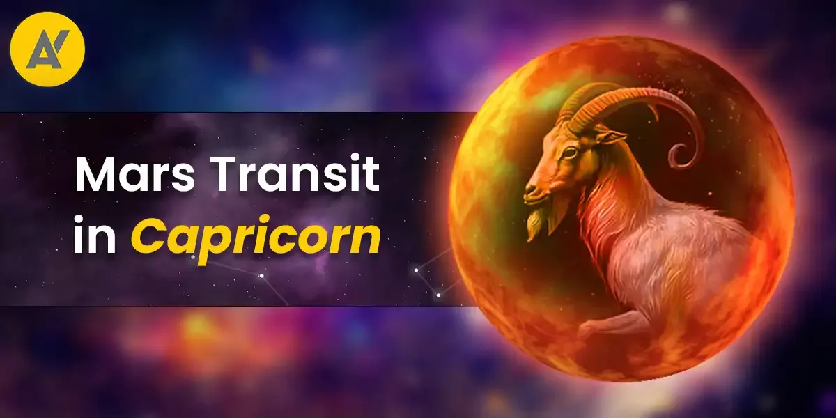 Photo of a Shiba Inu