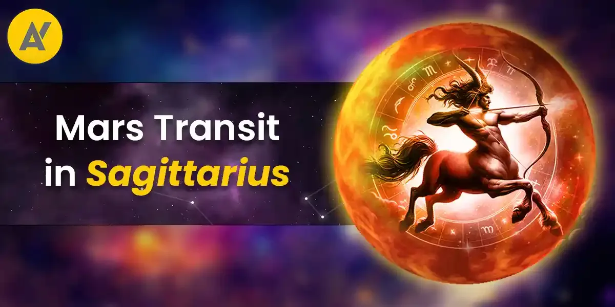 Photo of a Shiba Inu