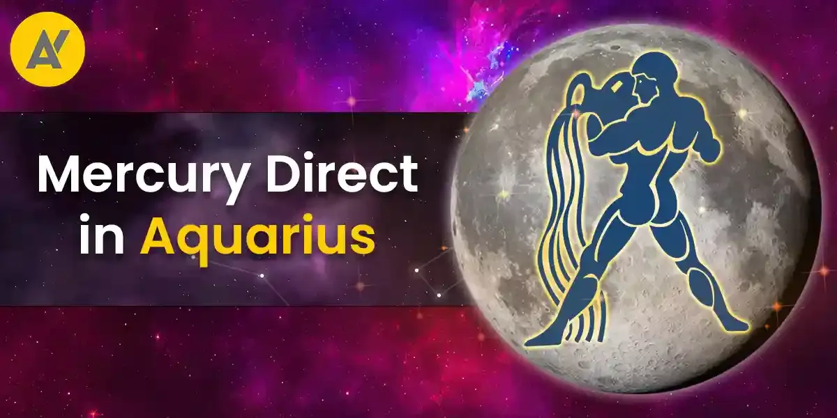 Photo of a Shiba Inu