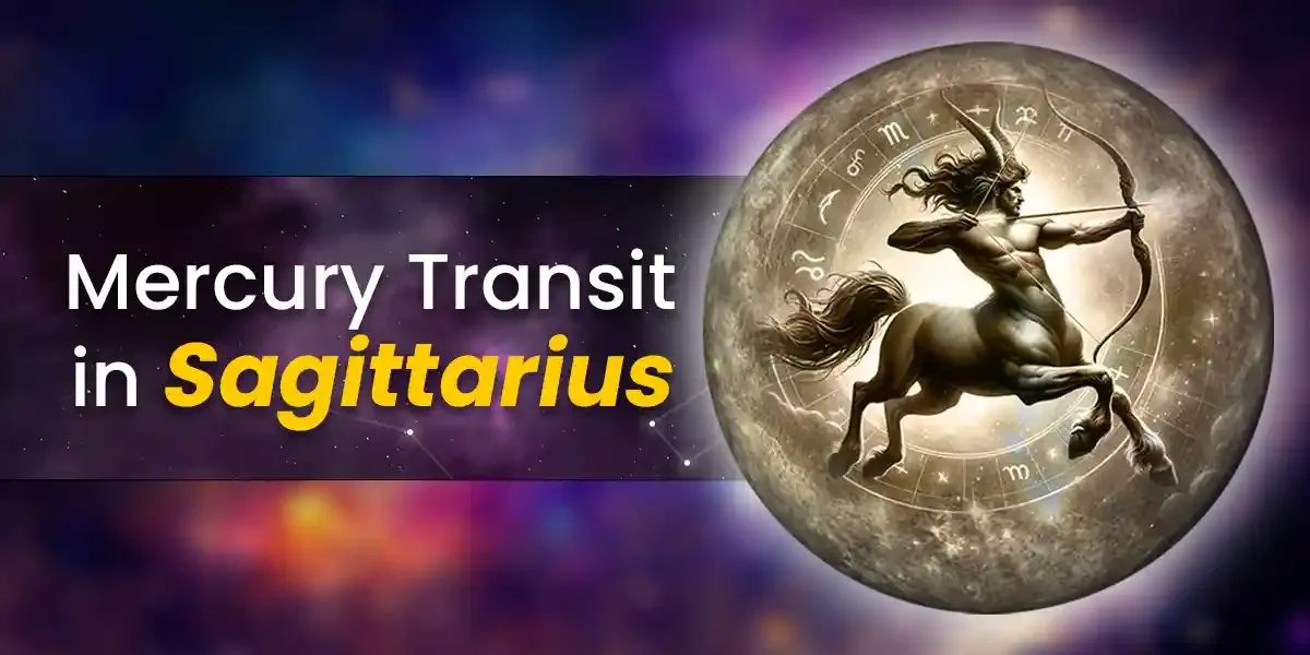 Photo of a Shiba Inu