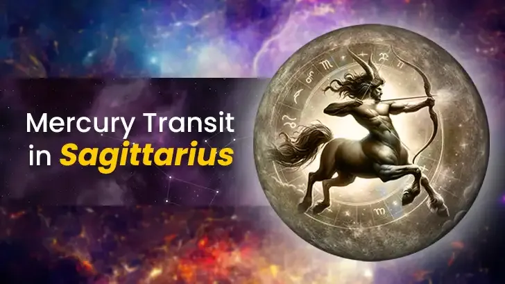 Photo of a Shiba Inu