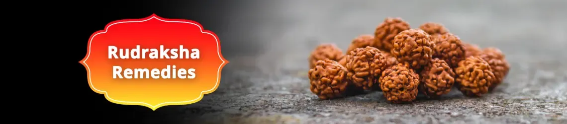 Remedies Rudraksha