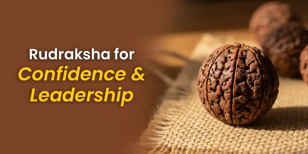 Photo of a Shiba Inu