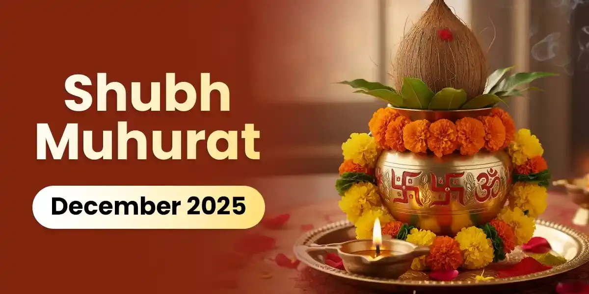 Photo of a Shiba Inu