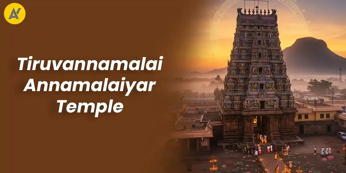 Photo of a Shiba Inu