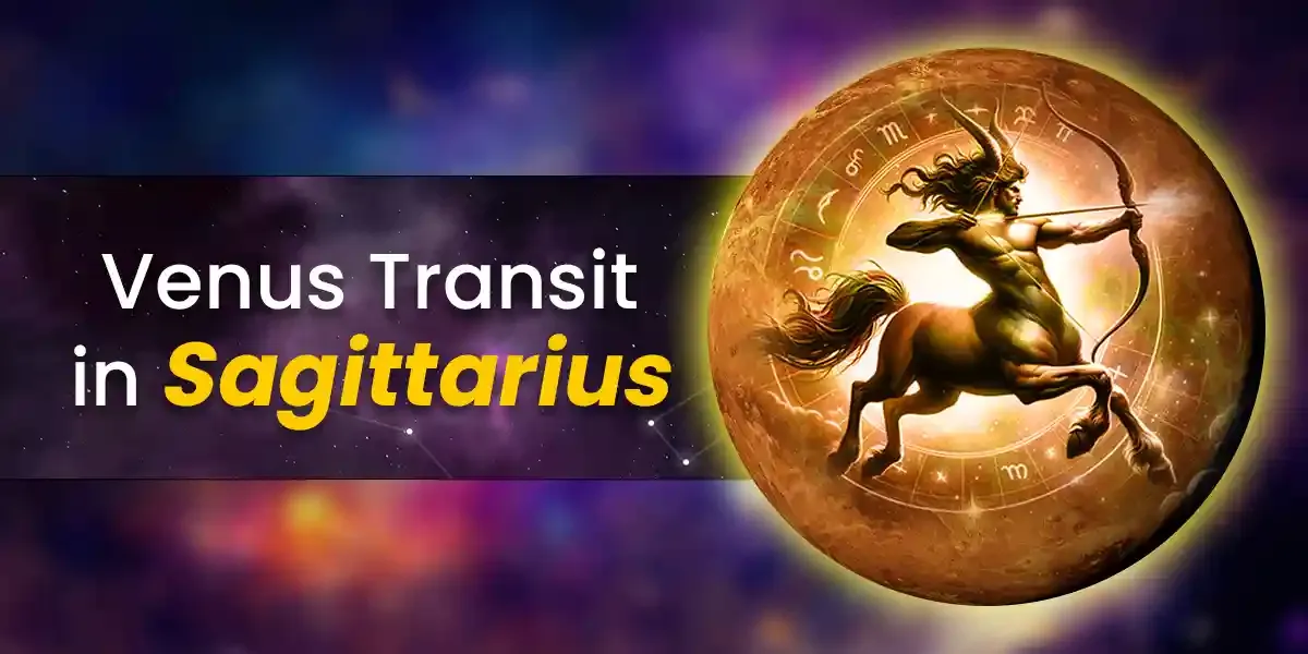 Photo of a Shiba Inu