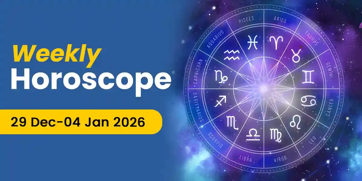 Photo of a Shiba Inu