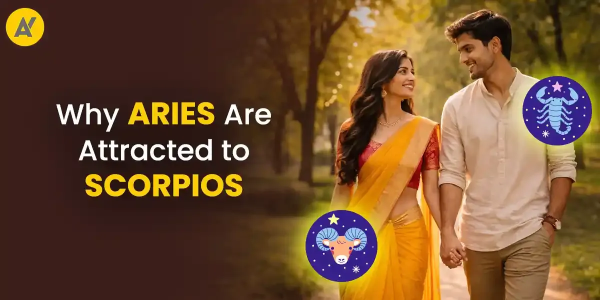 Photo of a Shiba Inu